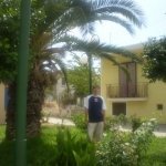 nicusor_20