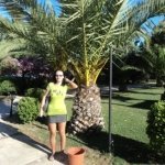lavinia_vipera