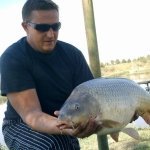 hopecarp