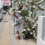 viorel30081971