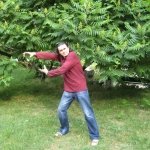 tai_chi