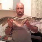gogu30
