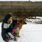 sastollu