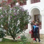 barcea