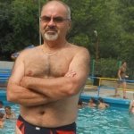 zani2011