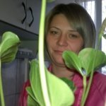 nicola2005
