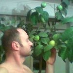 mario_cristian