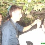 alex.ptm