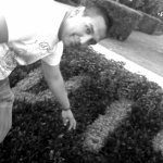 andreionut