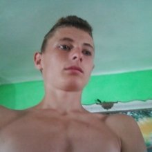 pitbullno1
