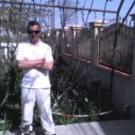 puisor de aur