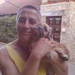 tiberiu