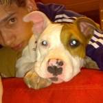 Paulinio_18