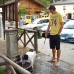ciprian03