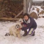 sastollu