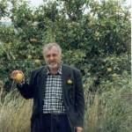 tiaris