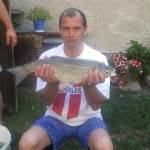 petho-gyula