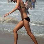 codrel