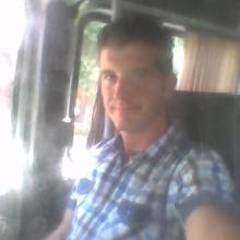 pisicut