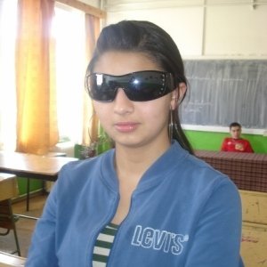 Laura_laurica