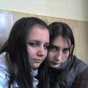 Laura_laurica
