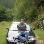 stely88