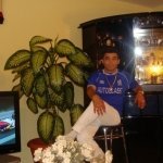 gino2009