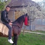 susanu543