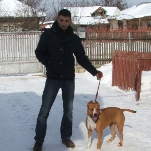 mytza_brunetul