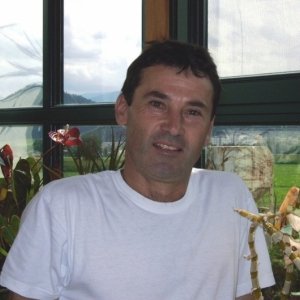 pava23