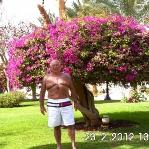 alyyn_29