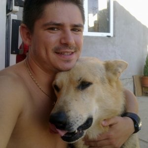 Dorel19