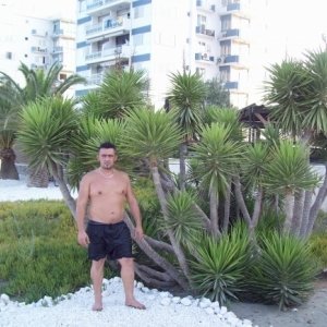 erros