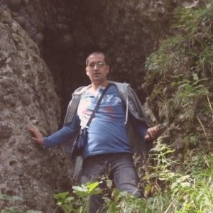 cristea fanica