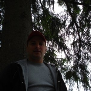 florin88