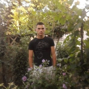 nelutu09nils