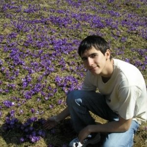cristi vf