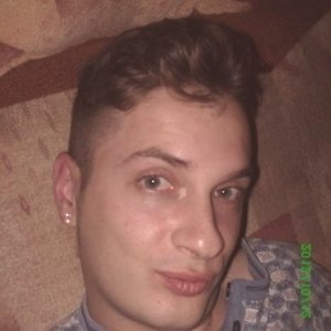 Bolo