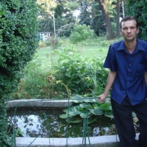 Mirceamir