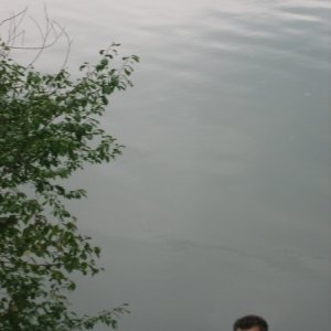 Tinache