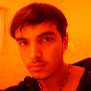 Gelu2007_br
