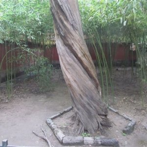 Rozaliagabriela