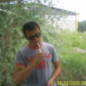 Iulian415