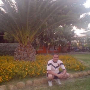 Florinsorin25