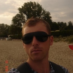 Popescuv2008