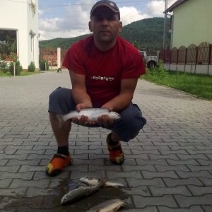 Darius92