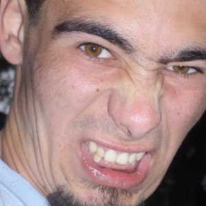 Puiualex