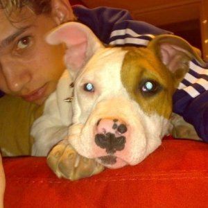 Danyyel78