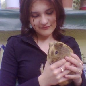Violavi