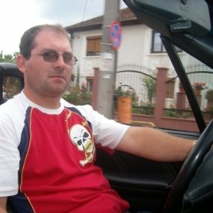 Mustangull